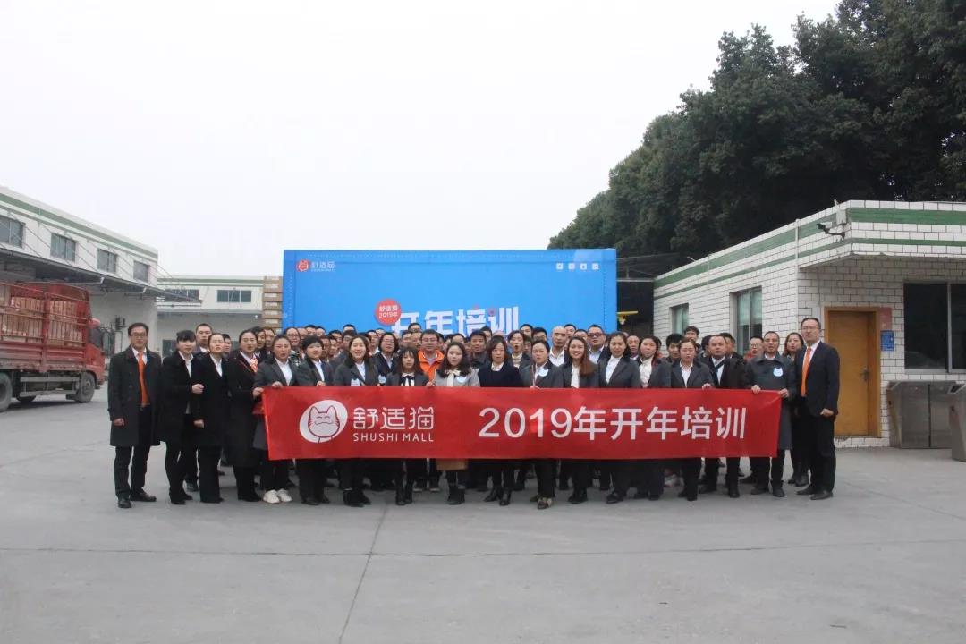 新年新起点，蓄势再出发——舒适猫2019年开年培训