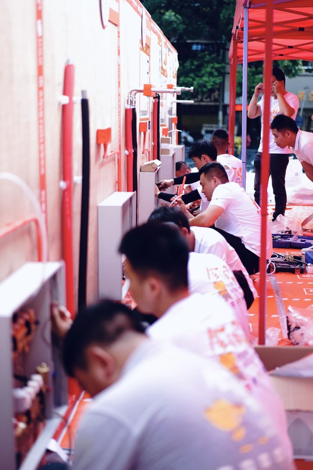 1769392446969678.jpg 7.jpg