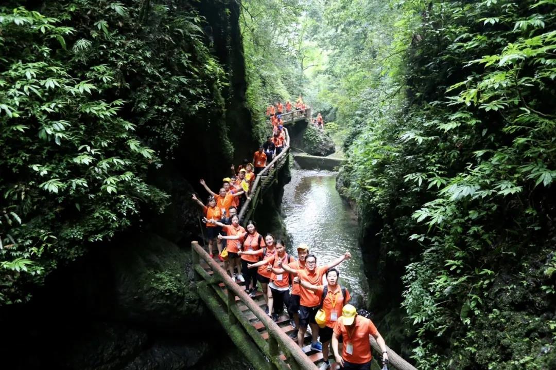 1769405782501578.jpg 1.jpg