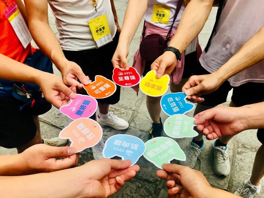 1769405812132232.jpg 4.jpg