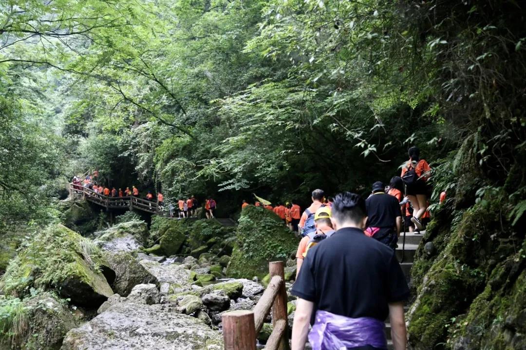 1769405906152590.jpg 13.jpg